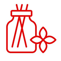 Aromatherapy system